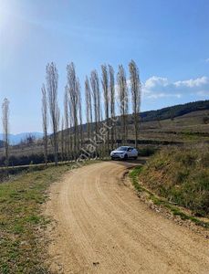 Arsa-Tarla
