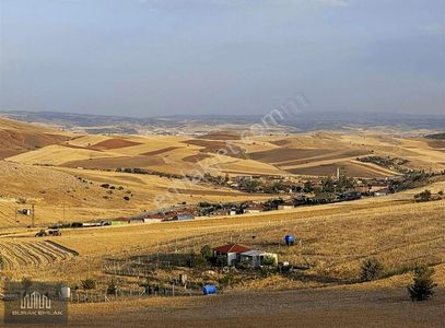 Arsa-Tarla