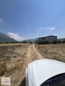 Arsa-Tarla