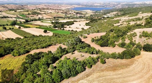 Arsa-Tarla