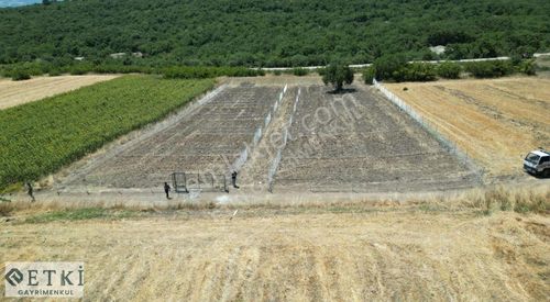 Arsa-Tarla