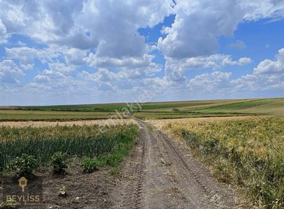 Arsa-Tarla