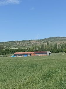 Arsa-Tarla