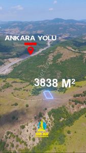 Arsa-Tarla
