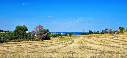 Arsa-Konut İmarlı