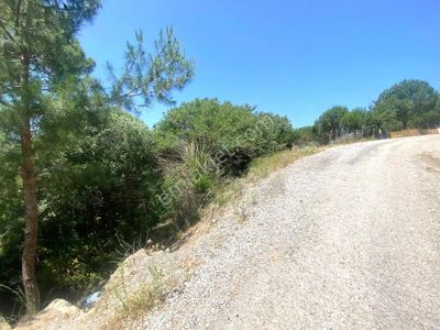 Arsa-Tarla