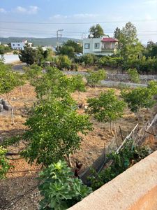 Arsa-Konut İmarlı