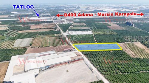 Arsa-Depo, Antrepo İzinli