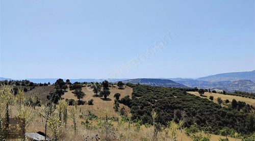 Arsa-Tarla