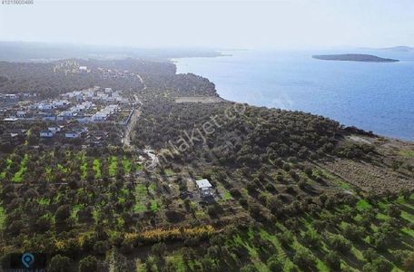 Arsa-Konut İmarlı