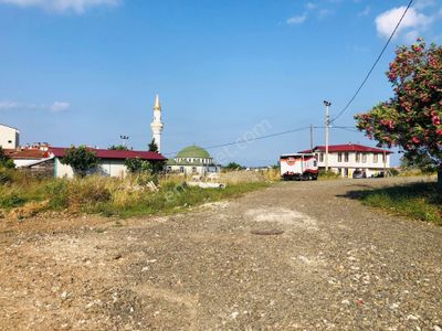 Arsa-Konut İmarlı
