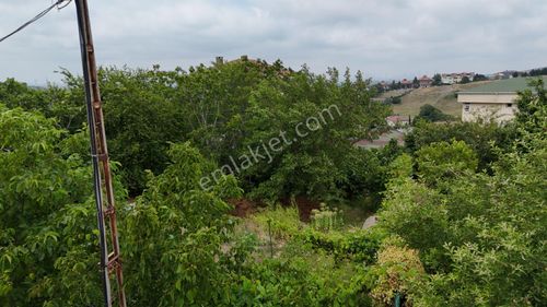 Arsa-Villa İmarlı