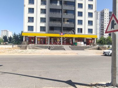 İşyeri-Dükkan & Mağaza