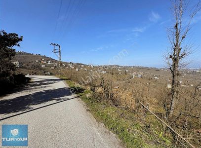 Arsa-Villa İmarlı