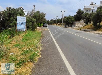 Arsa-Konut İmarlı