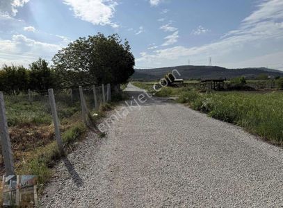 Arsa-Tarla