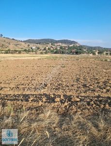 Arsa-Tarla