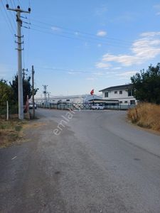 Arsa-Tarla