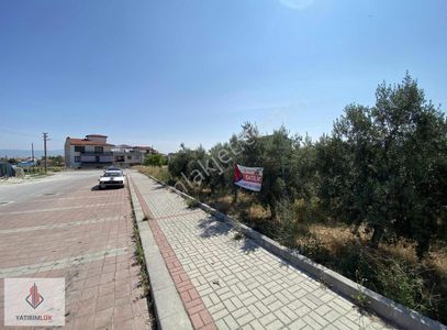 Arsa-Konut İmarlı