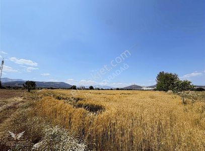 Arsa-Tarla