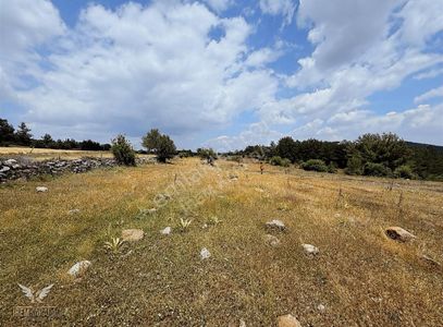 Arsa-Konut İmarlı
