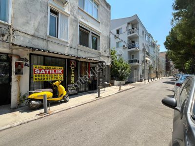 İşyeri-Dükkan & Mağaza