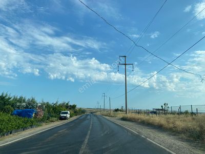 Arsa-Tarla