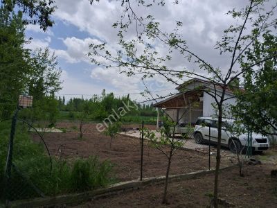 Arsa-Bağ & Bahçe