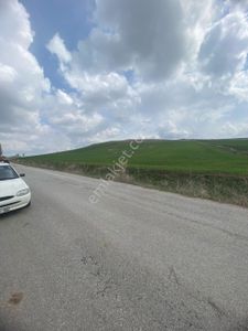 Arsa-Tarla