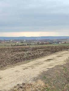 Arsa-Tarla