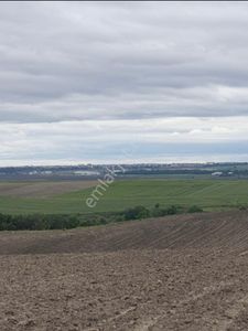 Arsa-Tarla