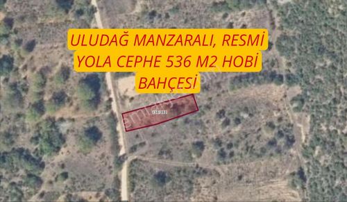 Arsa-Bağ & Bahçe