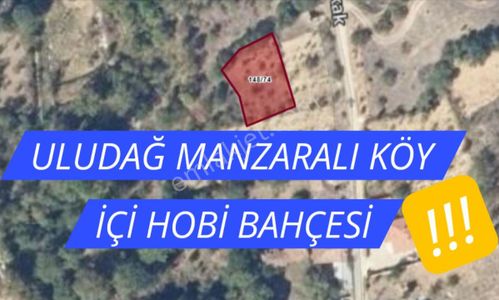 Arsa-Bağ & Bahçe