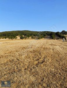 Arsa-Tarla