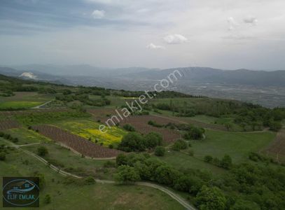 Arsa-Tarla