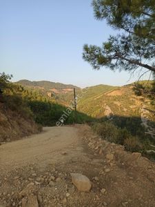 Arsa-Tarla
