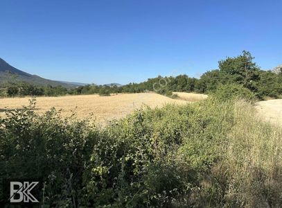 Arsa-Tarla