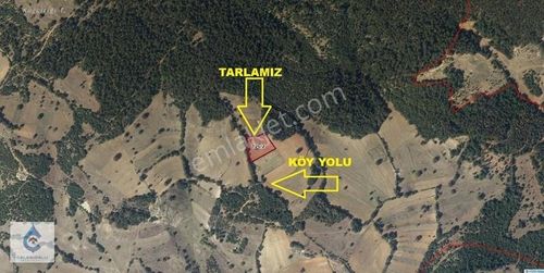 Arsa-Tarla