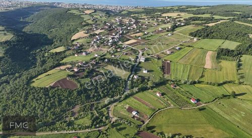 Arsa-Tarla