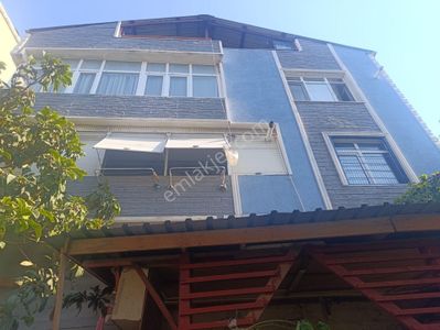 Konut-Bina