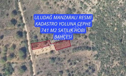 Arsa-Bağ & Bahçe