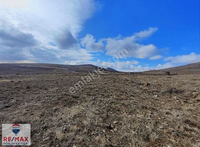 Arsa-Tarla