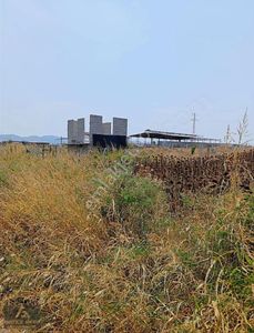Arsa-Tarla