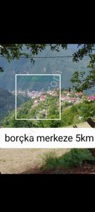 Arsa-Bağ & Bahçe