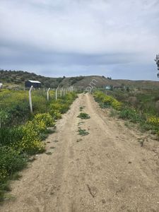 Arsa-Tarla