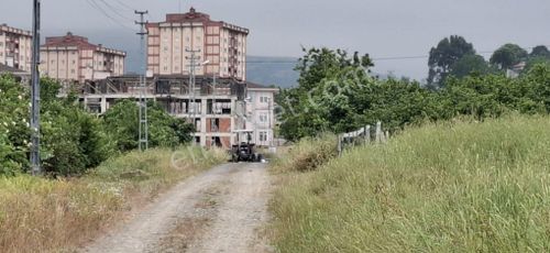 Arsa-Konut İmarlı