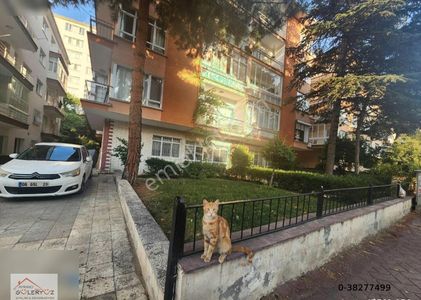 Konut-Daire