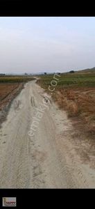 Arsa-Tarla