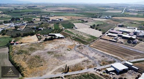Arsa-Depo, Antrepo İzinli