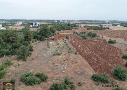 Arsa-Konut İmarlı